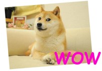 1-cYl2zTitLZeKy29x2i0ApQ