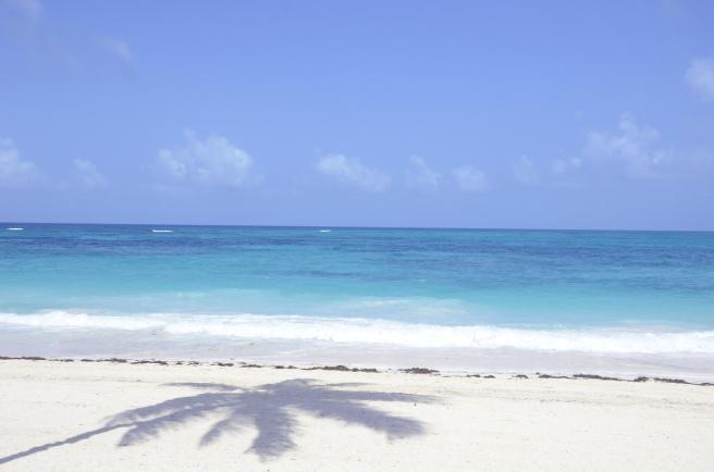 6a7bc118a98a27ed3a8d470a91139923