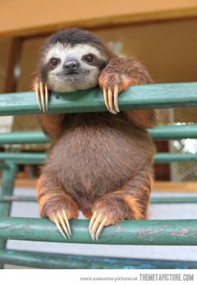 d03d154a50a96b117d611ef44946bda7