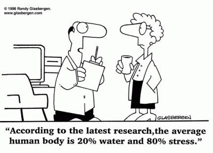 3477bc3443fec48fe4f9be6432f80b63