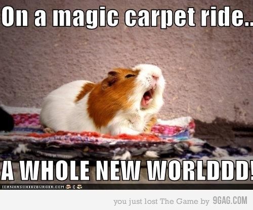 5f0426fcc6894ea4b976745c03cc7b32